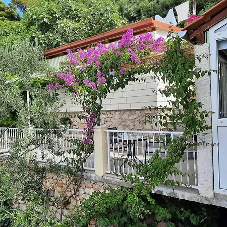 Kirigin - One Bedroom With Terrace And Sea View Ive - First Floor *